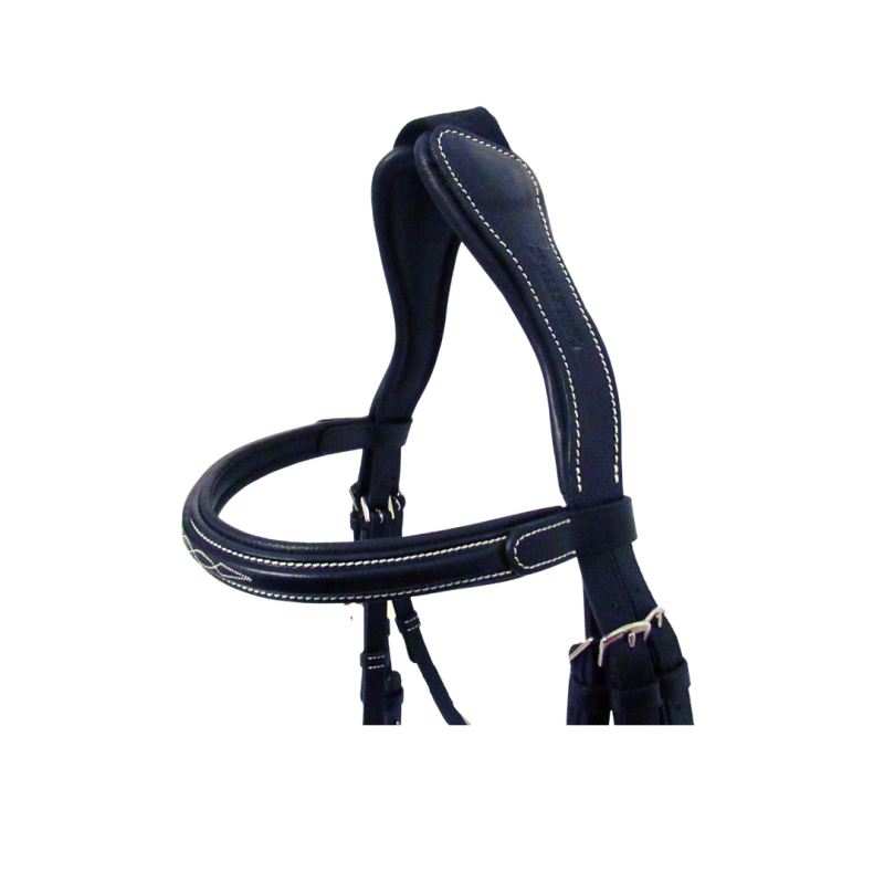Soft Bridle Cavaletti