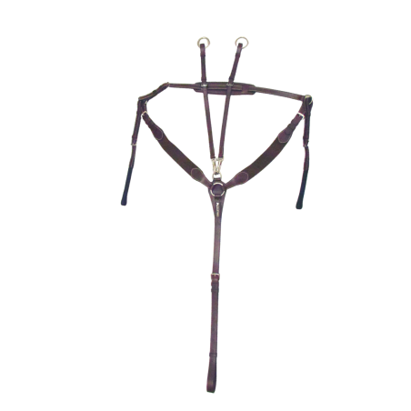 Breastplate with martingale attach - Cavaletti