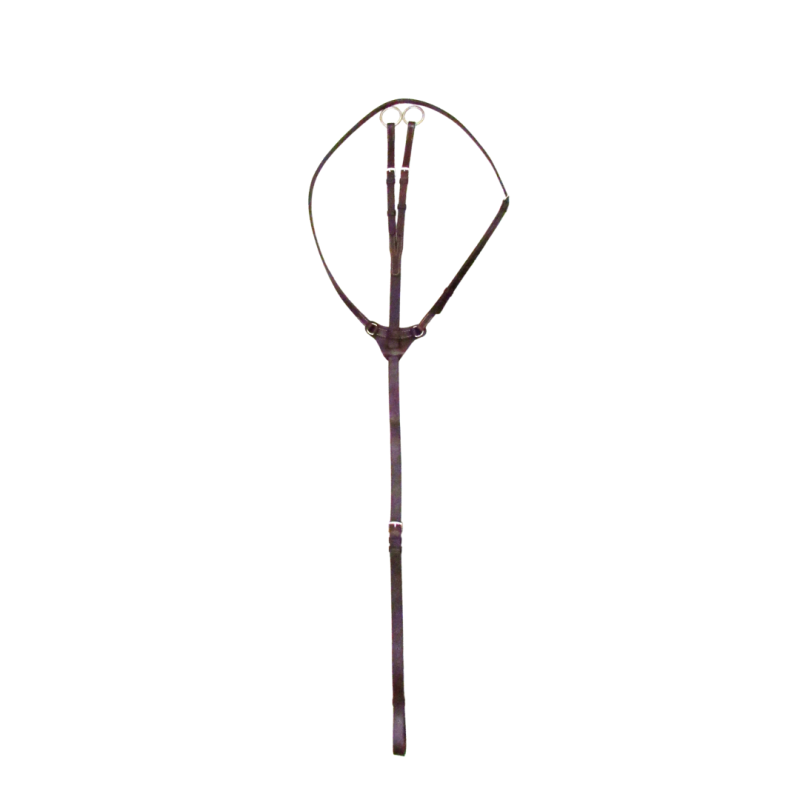Martingale with martingale attach - Cavaletti