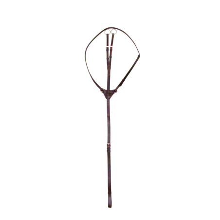 Martingale with martingale attach - Cavaletti