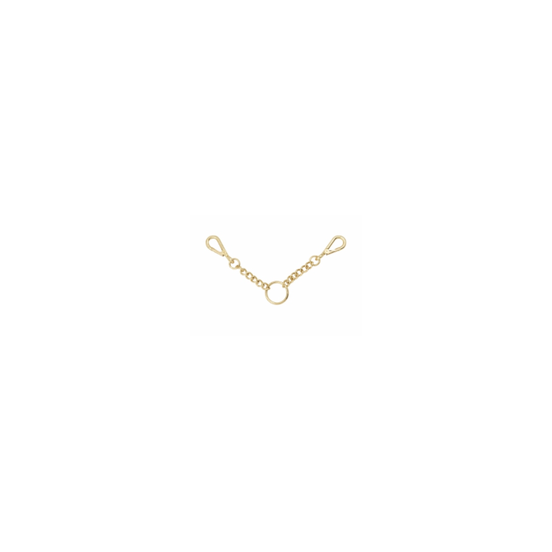 Presentation chain