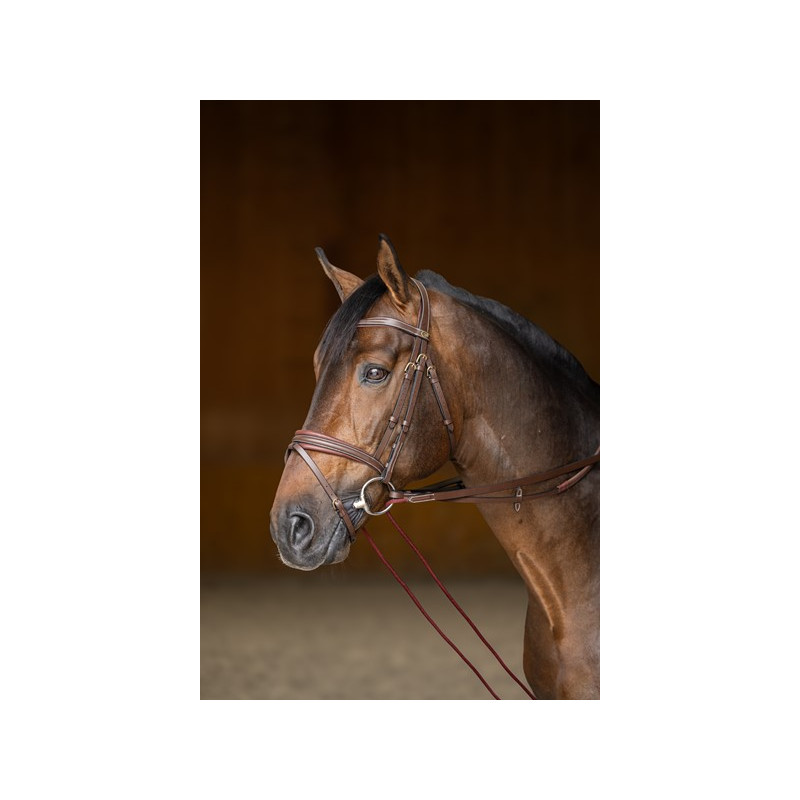 Leather Draw reins  - HFI