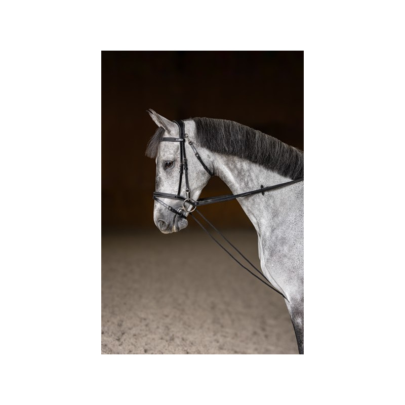 Leather Draw reins  - HFI