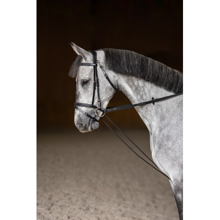 Leather Draw reins - HFI