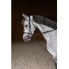 Leather Draw reins  - HFI