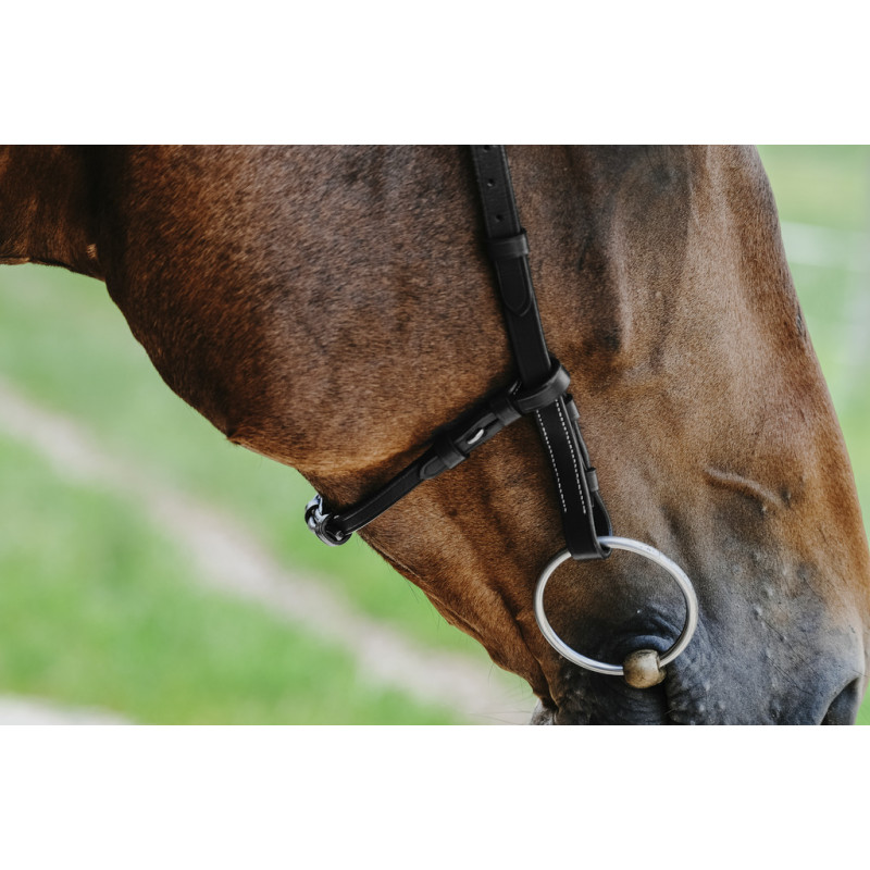 Freedom Bridle Norton