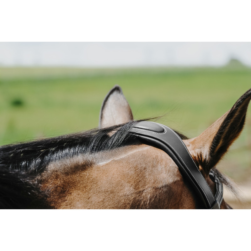 Freedom Bridle Norton