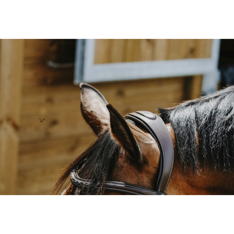 Freedom Bridle Norton