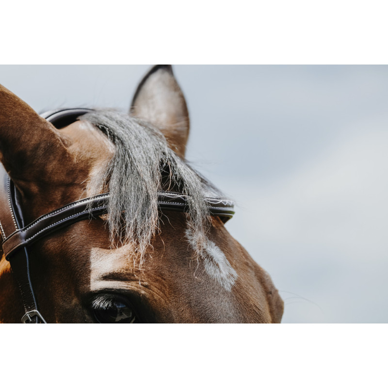 Freedom Bridle Norton