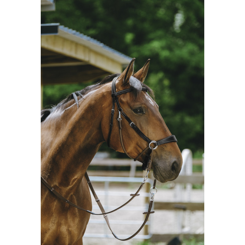 Bridon sans mors Bitless Norton