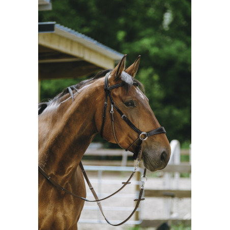 Bridon sans mors Bitless Norton