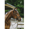 Bitless Bridle Norton