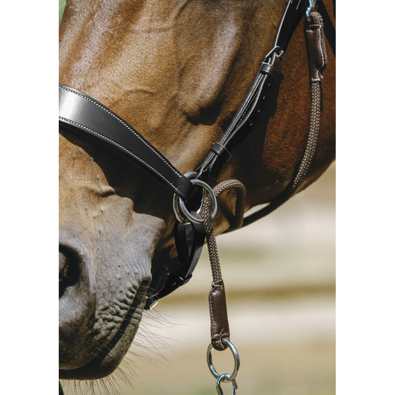 Bitless Bridle Norton