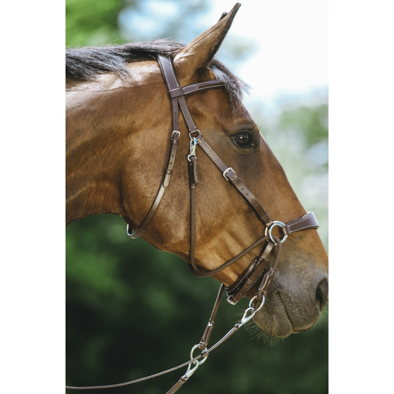 Bitless Bridle Norton