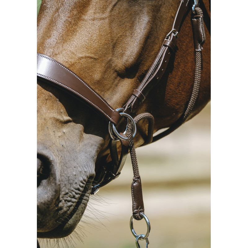 Bitless Bridle Norton