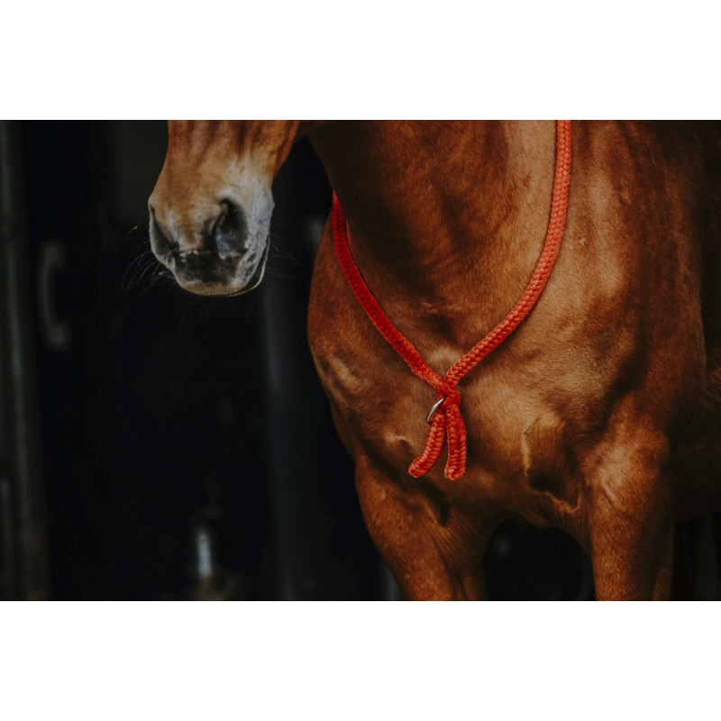 Ethological neck rope