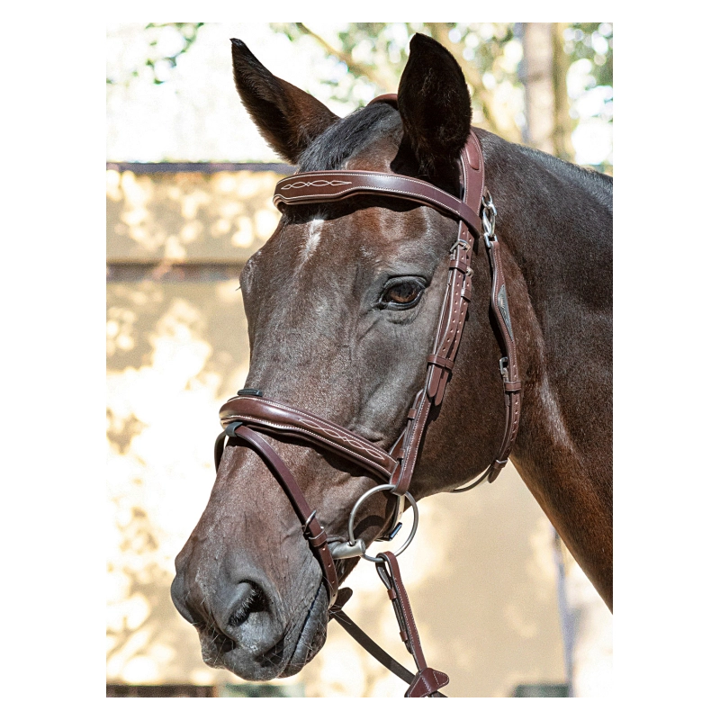 Ready to ride Bridle Equiline