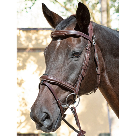 Ready to ride Bridle Equiline