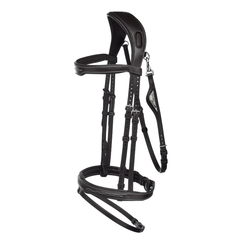 Ready to ride Bridle Equiline