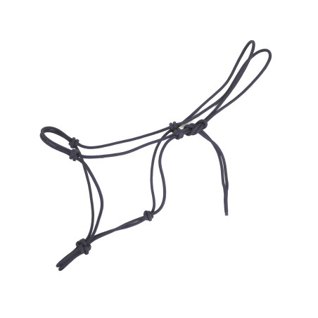 ethological halter