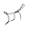 ethological halter