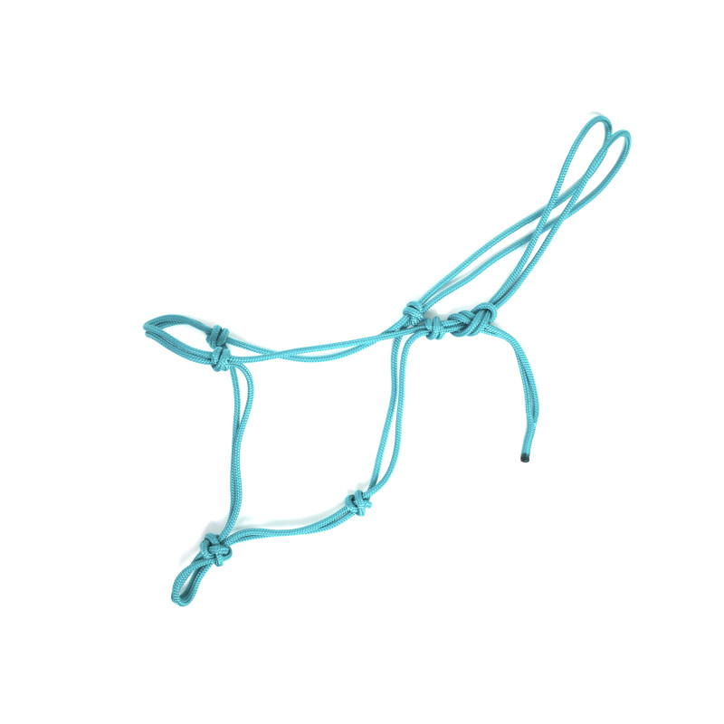 ethological halter