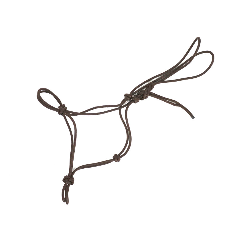 ethological halter