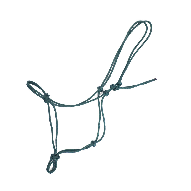 ethological halter