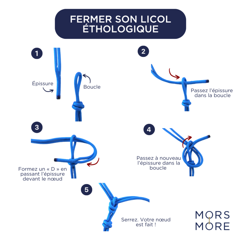 Licol Ethologique