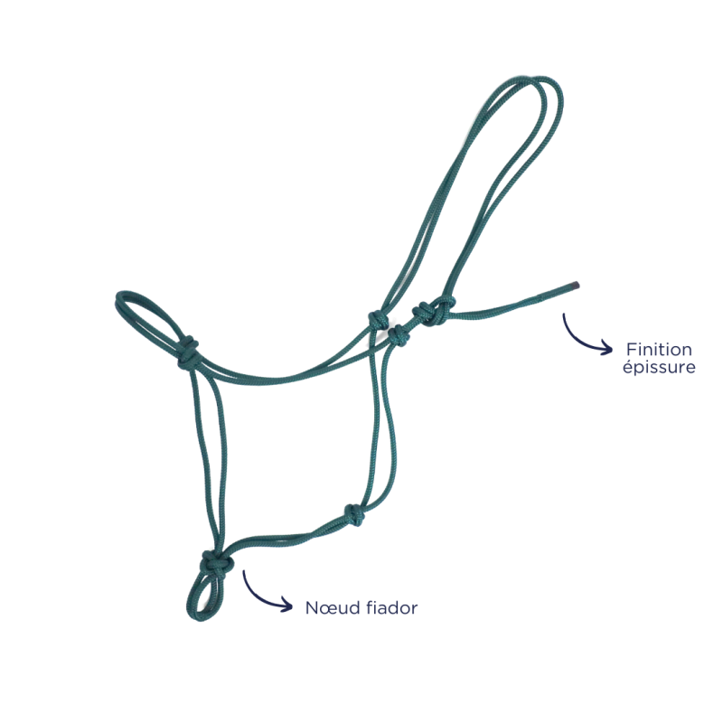 ethological halter