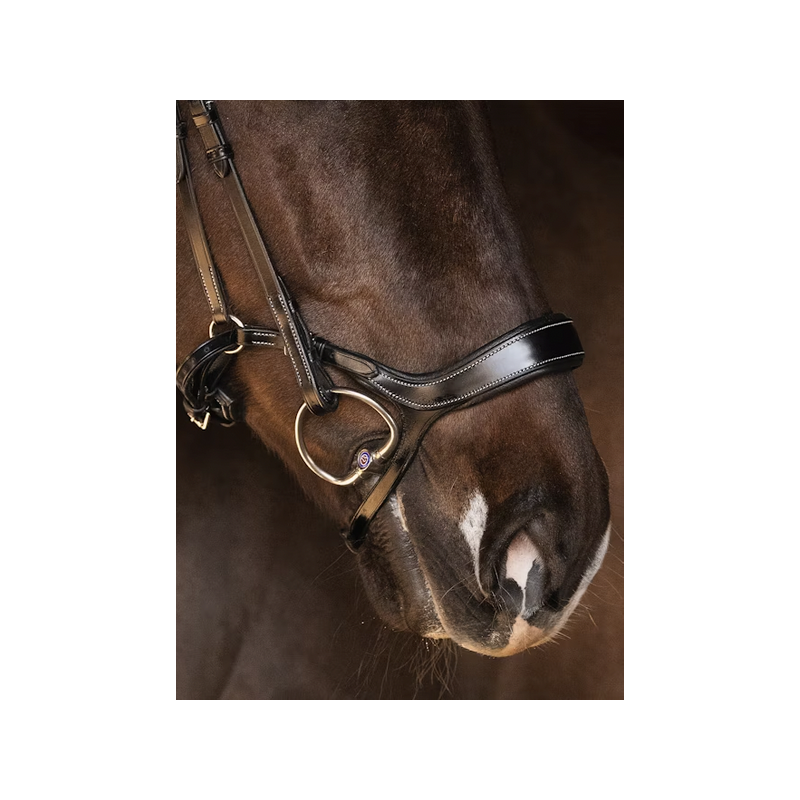 Pioneer Noseband Ps of Sweden