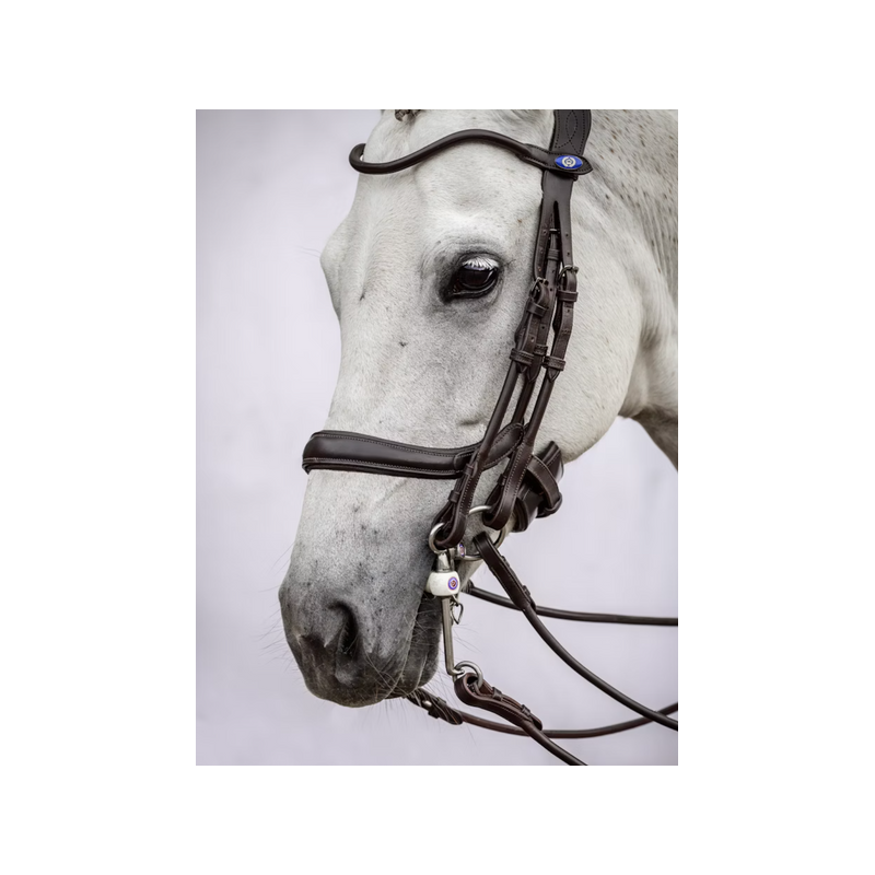 Paragon Noseband Ps of Sweden