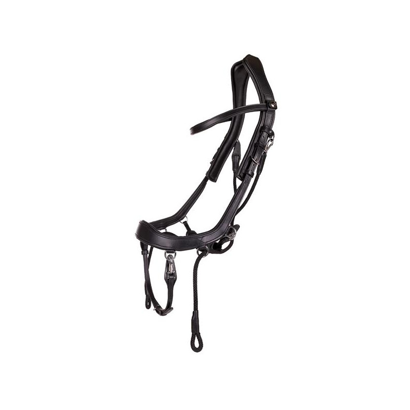 Faysport bridle
