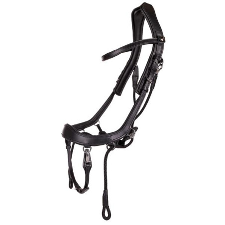 Faysport bridle