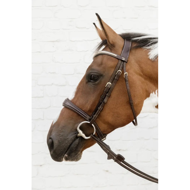 Anatomic Noseband - D Collection Dy'on