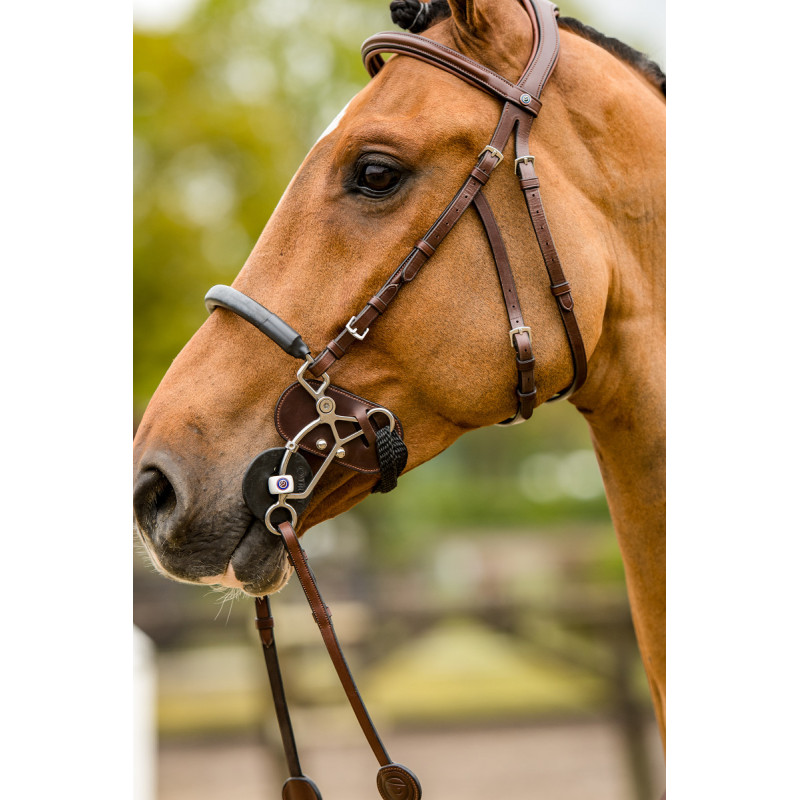Tandem - Hackamore leather protection - Trust