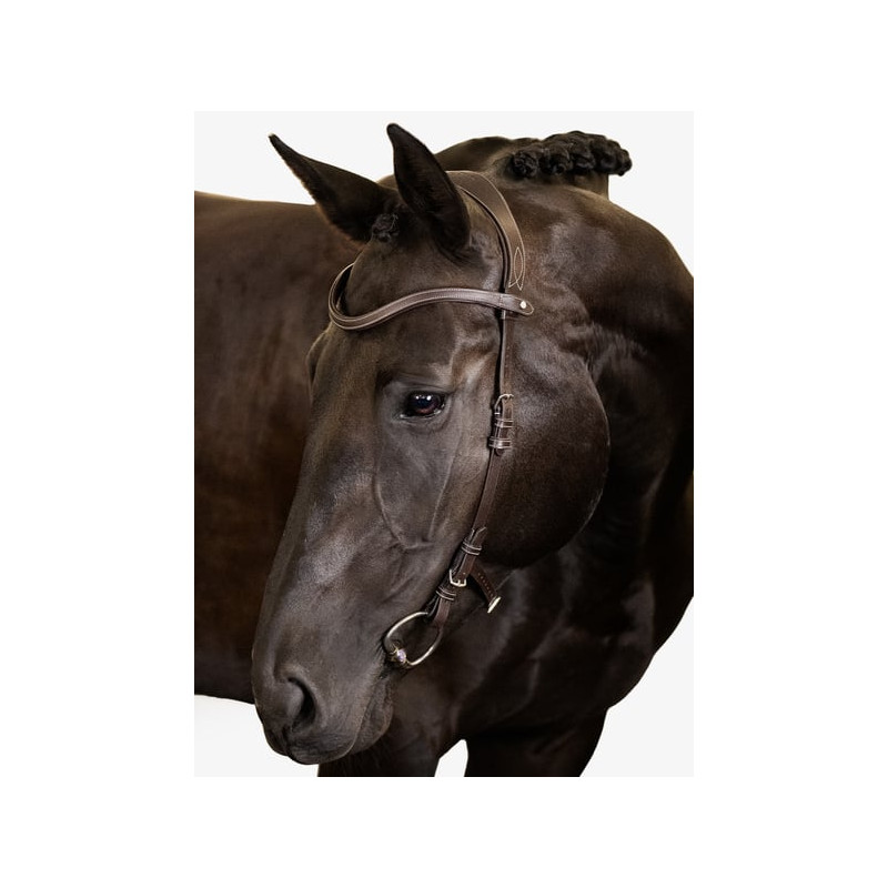 Bridle Helsinki - PS of Sweden