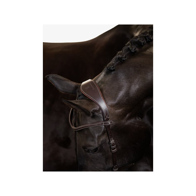 Bridle Helsinki - PS of Sweden