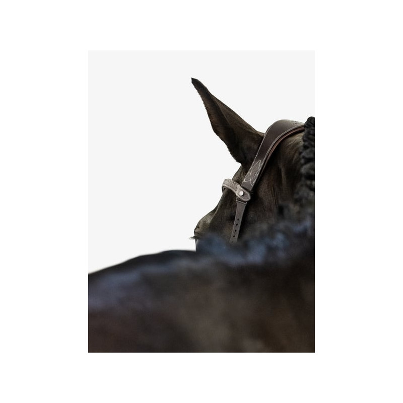 Bridle Helsinki - PS of Sweden