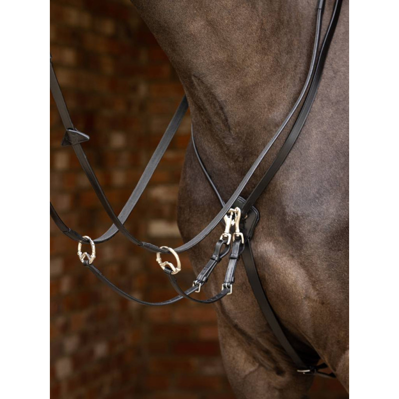 Running Martingale Kudos - Le Mieux
