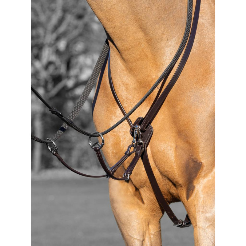 Running Martingale Kudos - Le Mieux