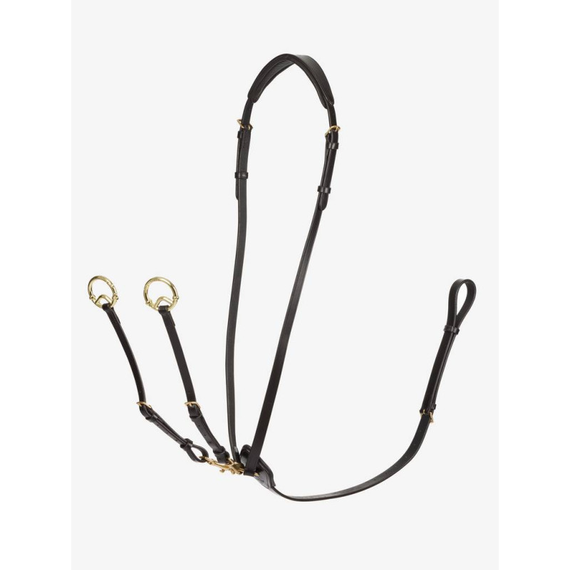Running Martingale Kudos - Le Mieux