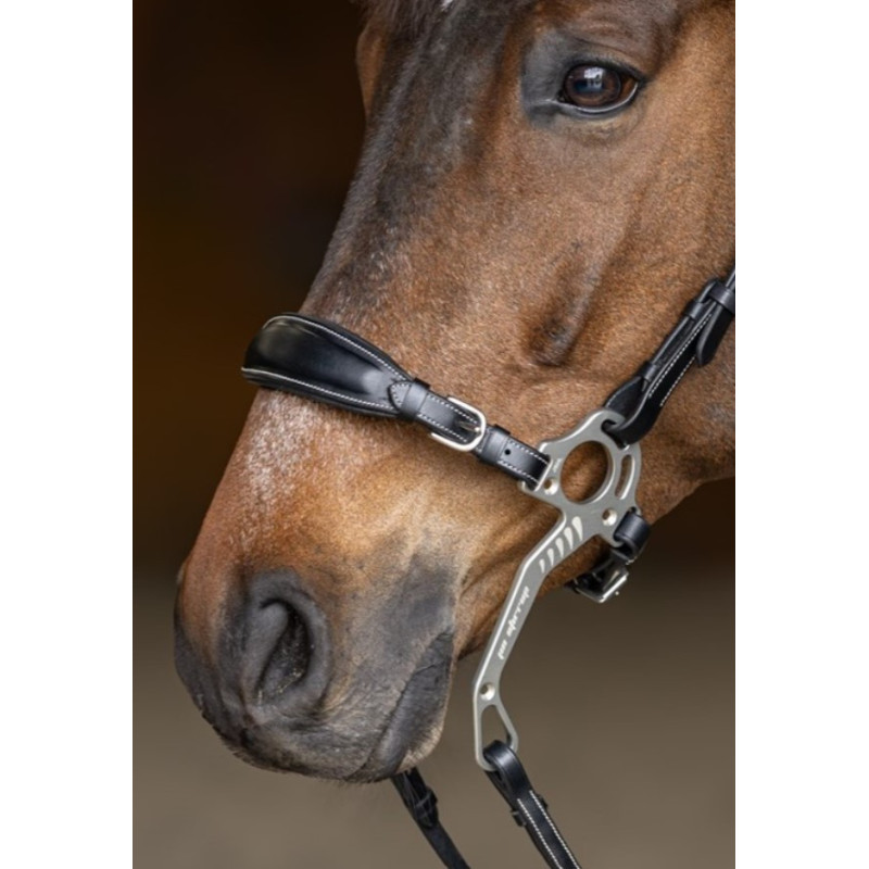 Alupro Hackamore
