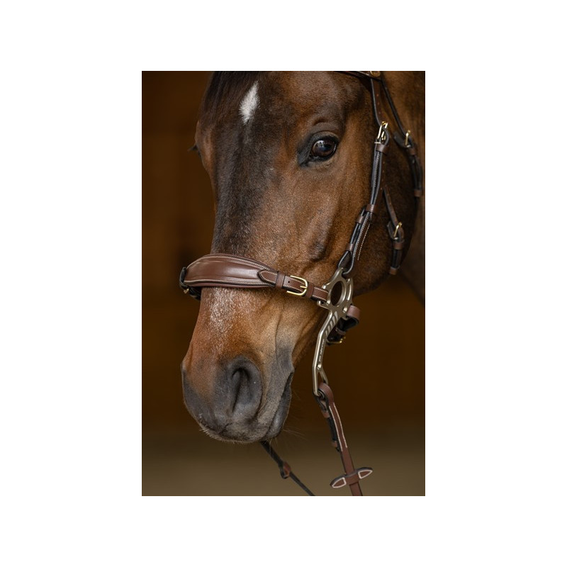 Alupro Hackamore