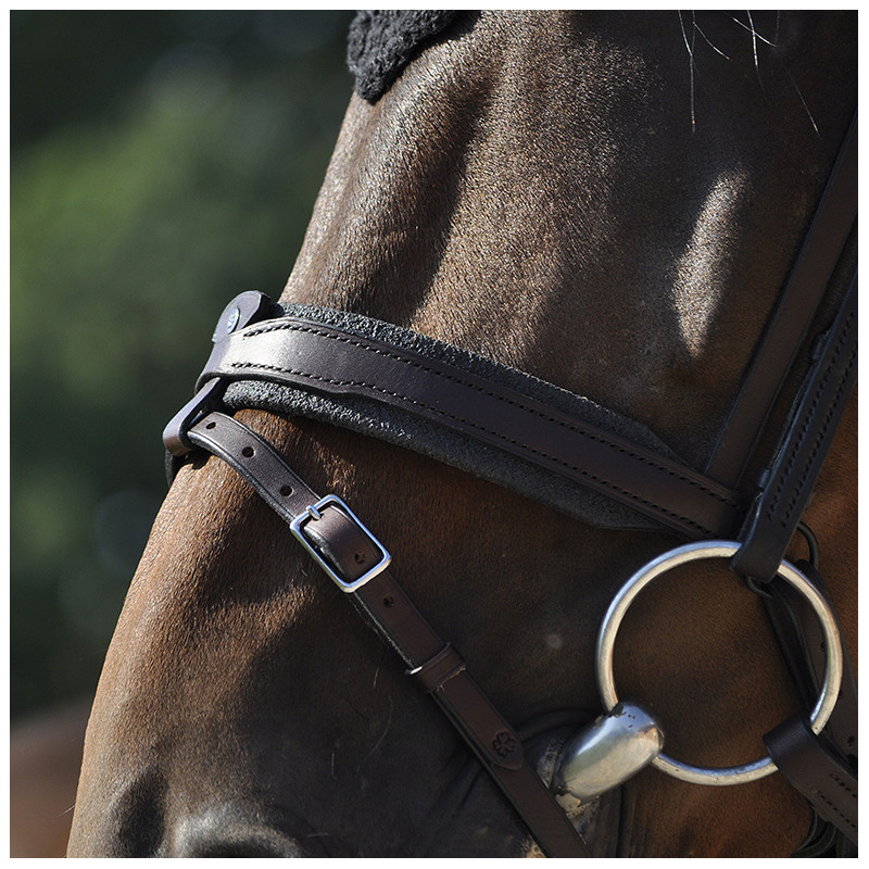 Bridle "evolution" contact Disco browband