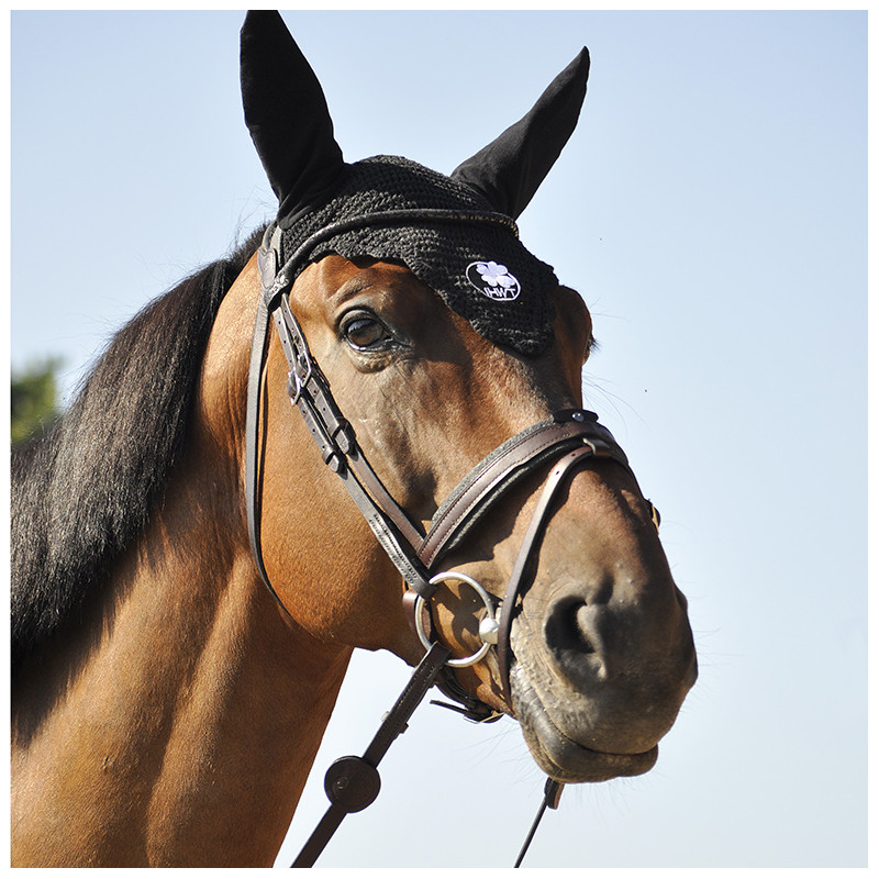 Bridle "evolution" contact Disco browband