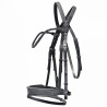 Bridle "evolution" contact Disco browband