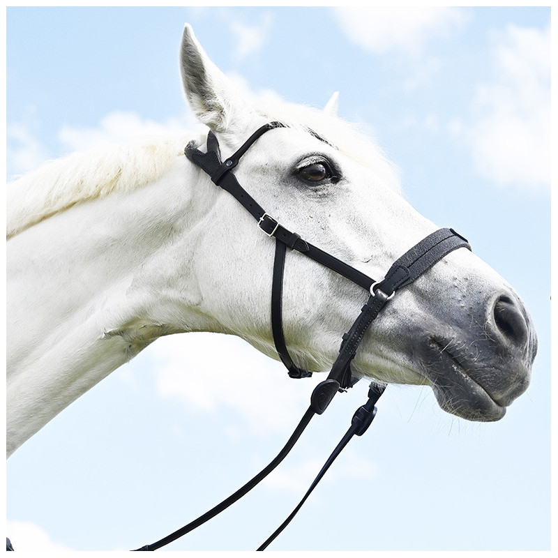 Bridle "evolution" Bitless Soft T contact by IHWT