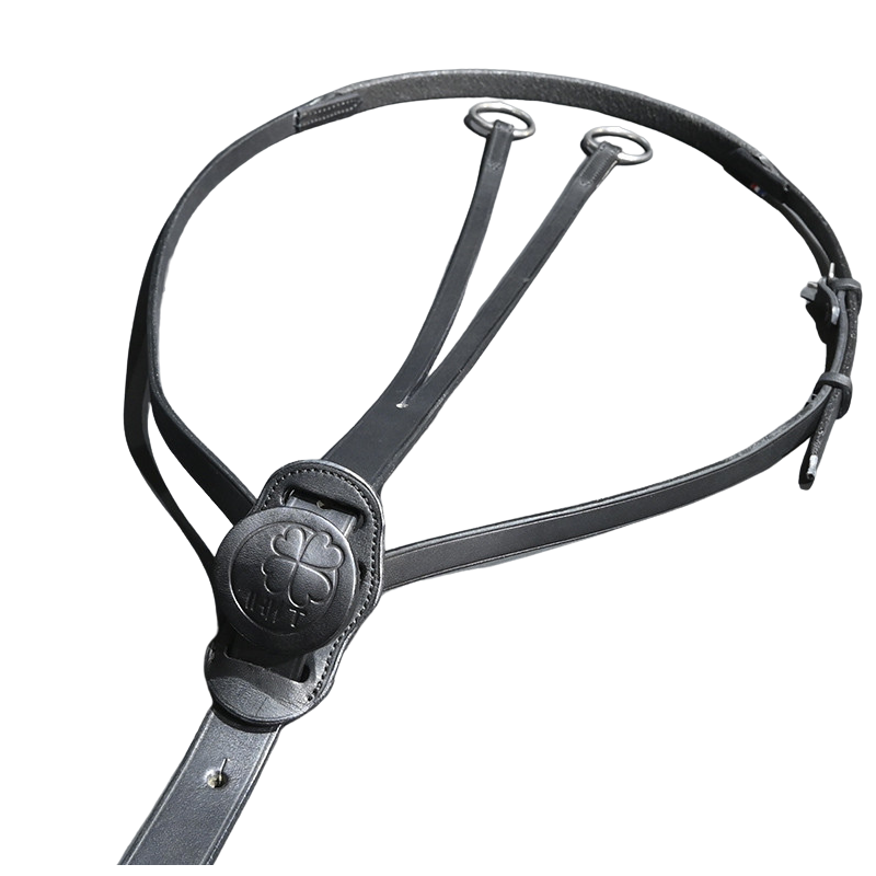 Martingale C-Cure by IHWT
