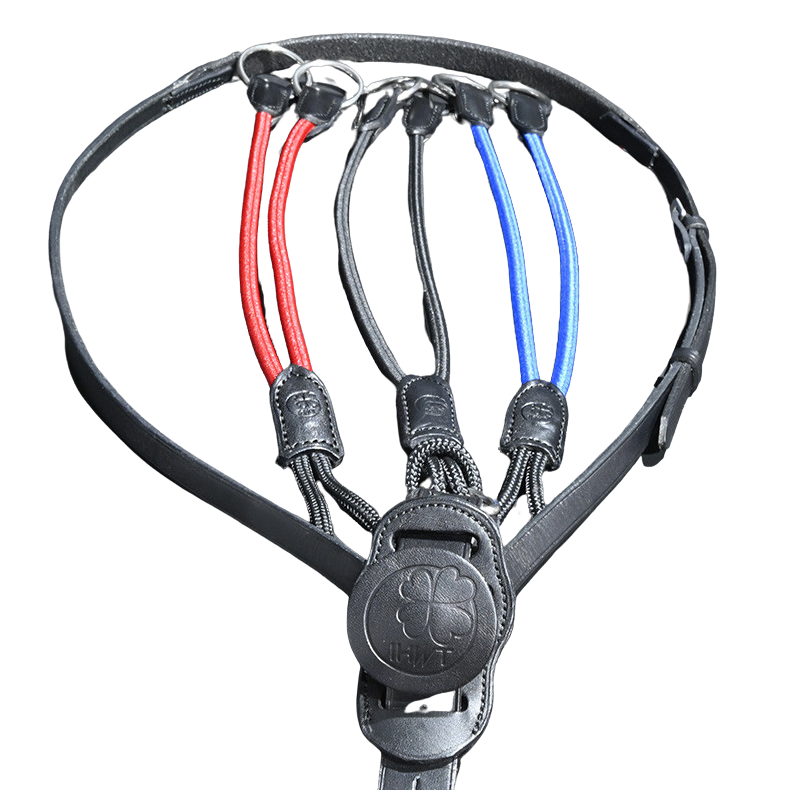 Elastic martingale C-Cure
